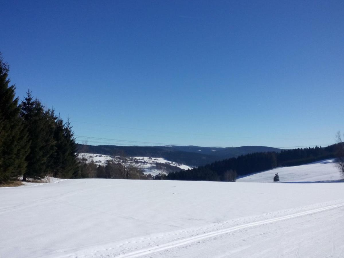 Cozy In Mountains With Balcony Breitenbrunn (Saxony)