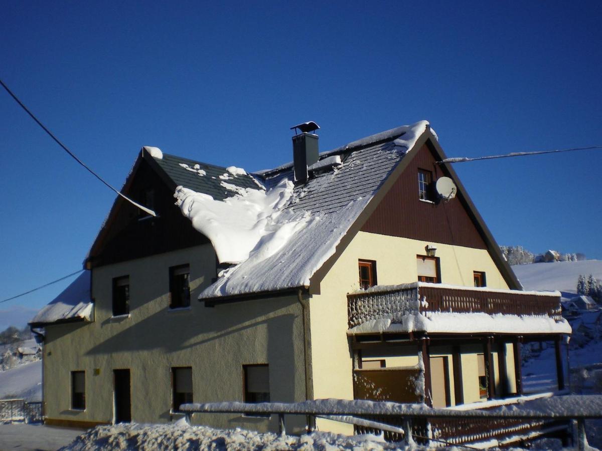 Cozy In Mountains With Balcony Breitenbrunn (Saxony)