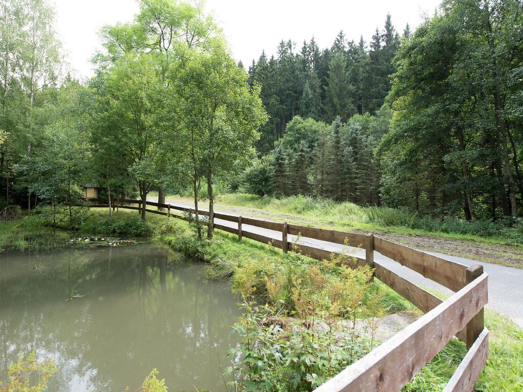 Cozy In Mountains With Balcony Apartment Breitenbrunn (Saxony)